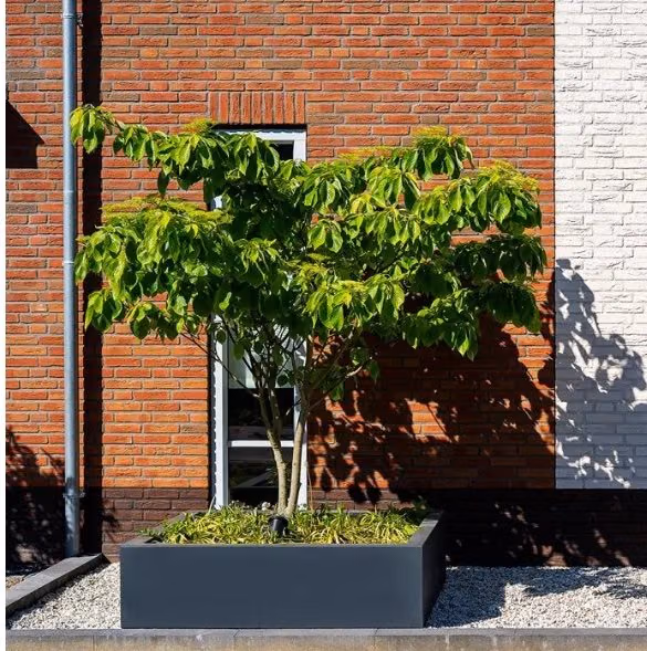 Gerealiseerde buitenruimte van Groene Handjes, projectfoto 149